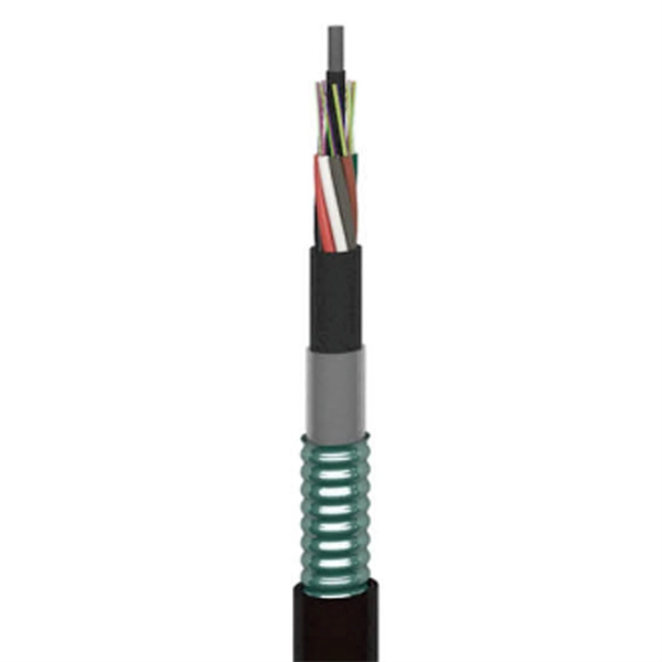 Direct Sales of Explosion-Proof Distribution Boxes from Mexico